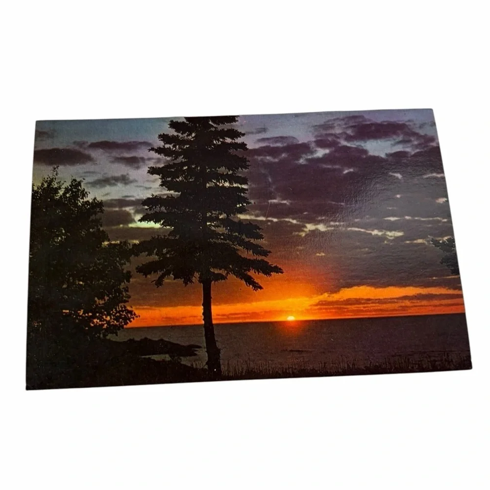 Vintage Sunset on the Eastern Shore Virginia Postcard Unused Scenic